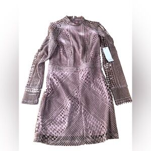 Tobi Mauve Long Sleeve Lace Dress
